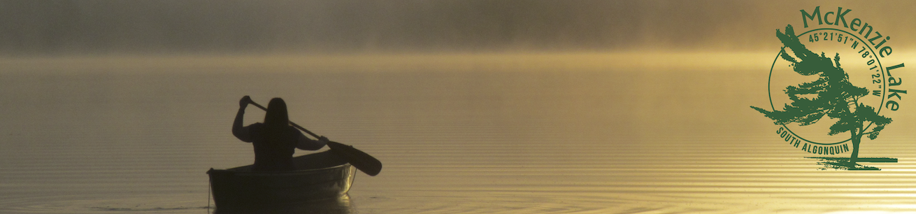 MLP_02.1 Vision and Principles